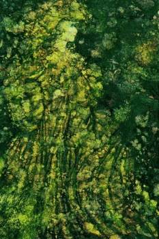 Arcana, 1997